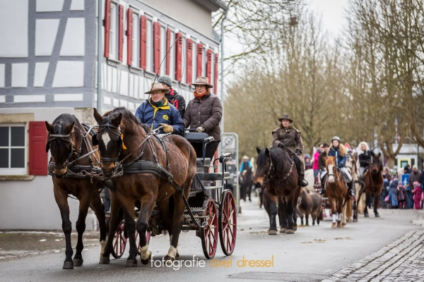 draxco-rossmarkt2017-f3-032-ax5-4787CA841ECE-5087-A15E-6D4B-8E2FA2F6E558.jpg